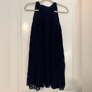 Francesca's Collections Navy Lace Dress